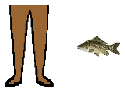 Size of Common Carp