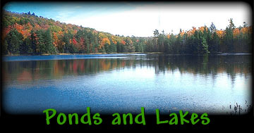 Ponds and Lakes