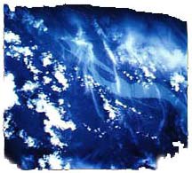 Amazon River