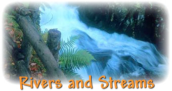 Rivers and Streams