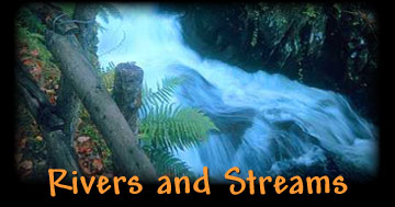 Rivers and Streams