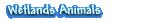 Wetlands Animals