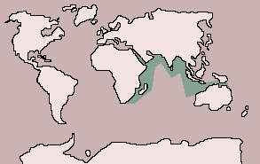 Range of Stonefish
