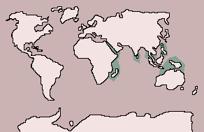 Range of Dugong