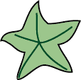 Sea Star