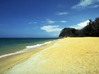 Sandy Shoreline