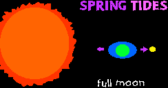 Spring Tide--Full Moon