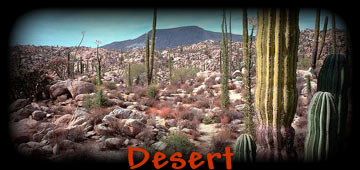 Desert