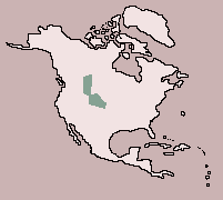 Range of Bison