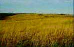Prairie
