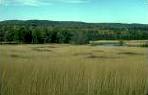 Prairie