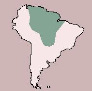Range of Brazilian Tapir