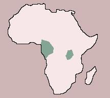 Range of Gorilla