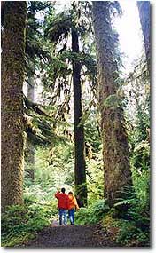 Robyn and Sarah Walking through Temperate Rainforest